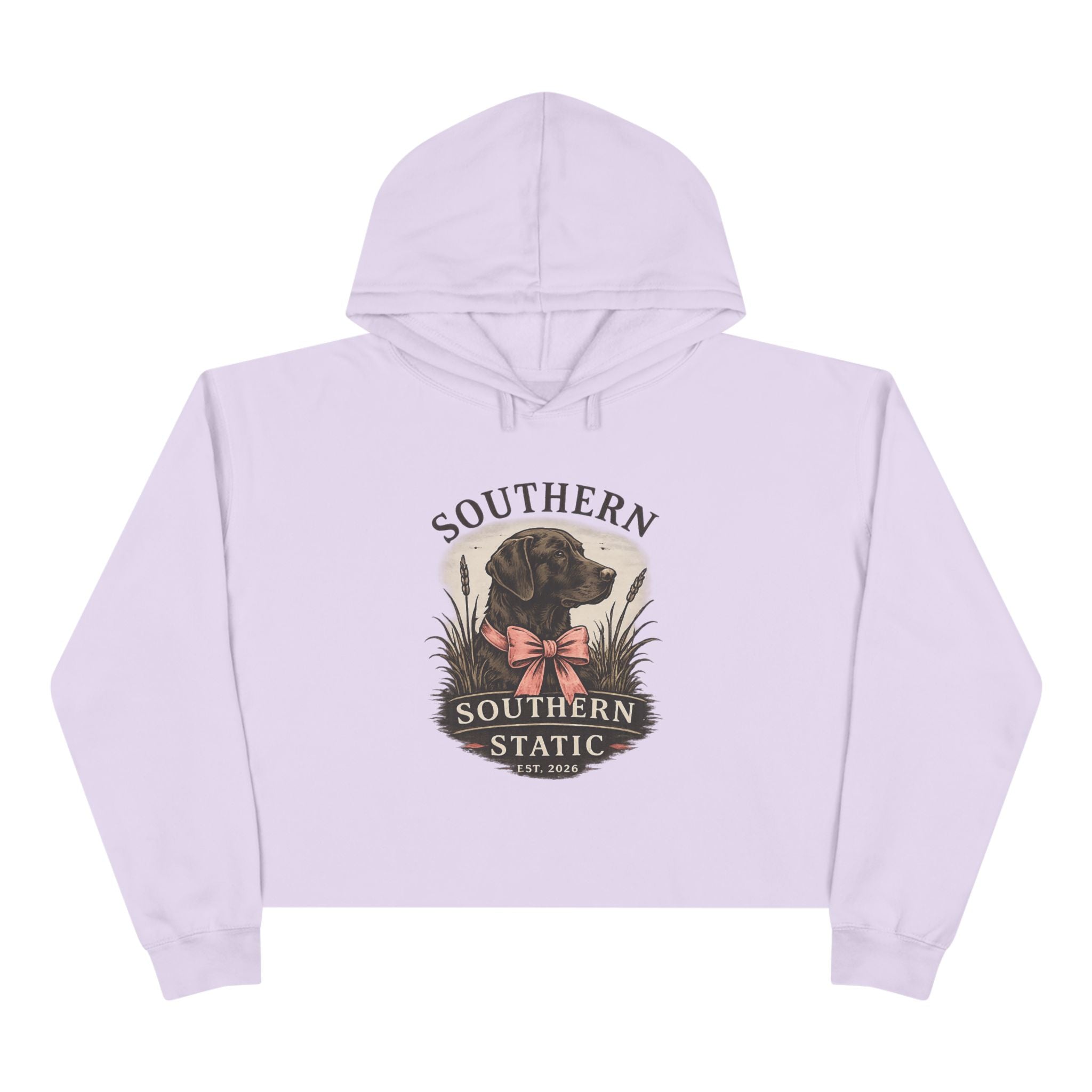 Southern Static Dog Crop Hoodie — Vintage Black Lab Graphic Cropped Hoodie