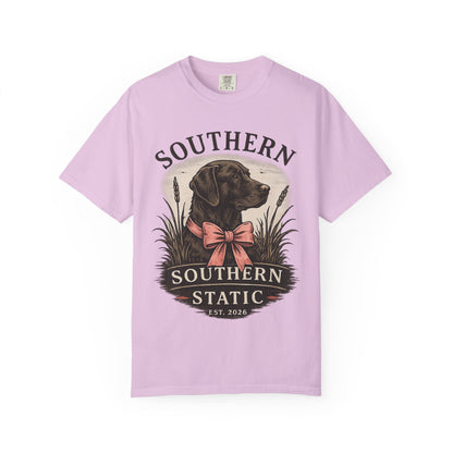 Southern Static Labrador Graphic T-Shirt — Vintage Dog Tee