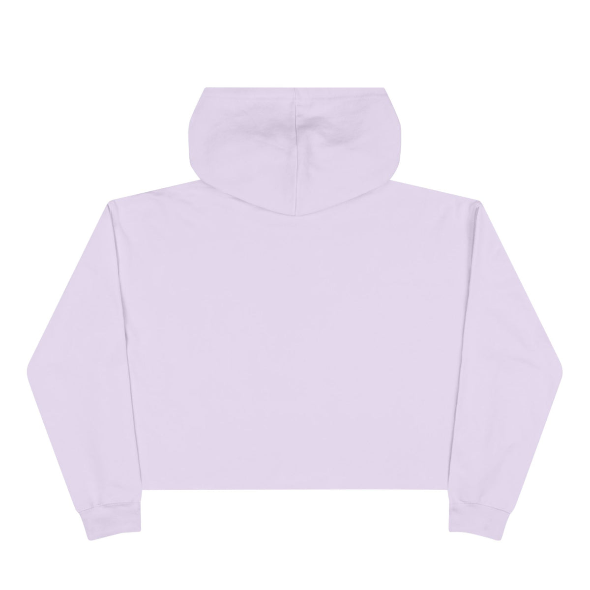 Southern Static Crop Hoodie - Women’s Cropped Pullover with Antler & Arrow Graphic