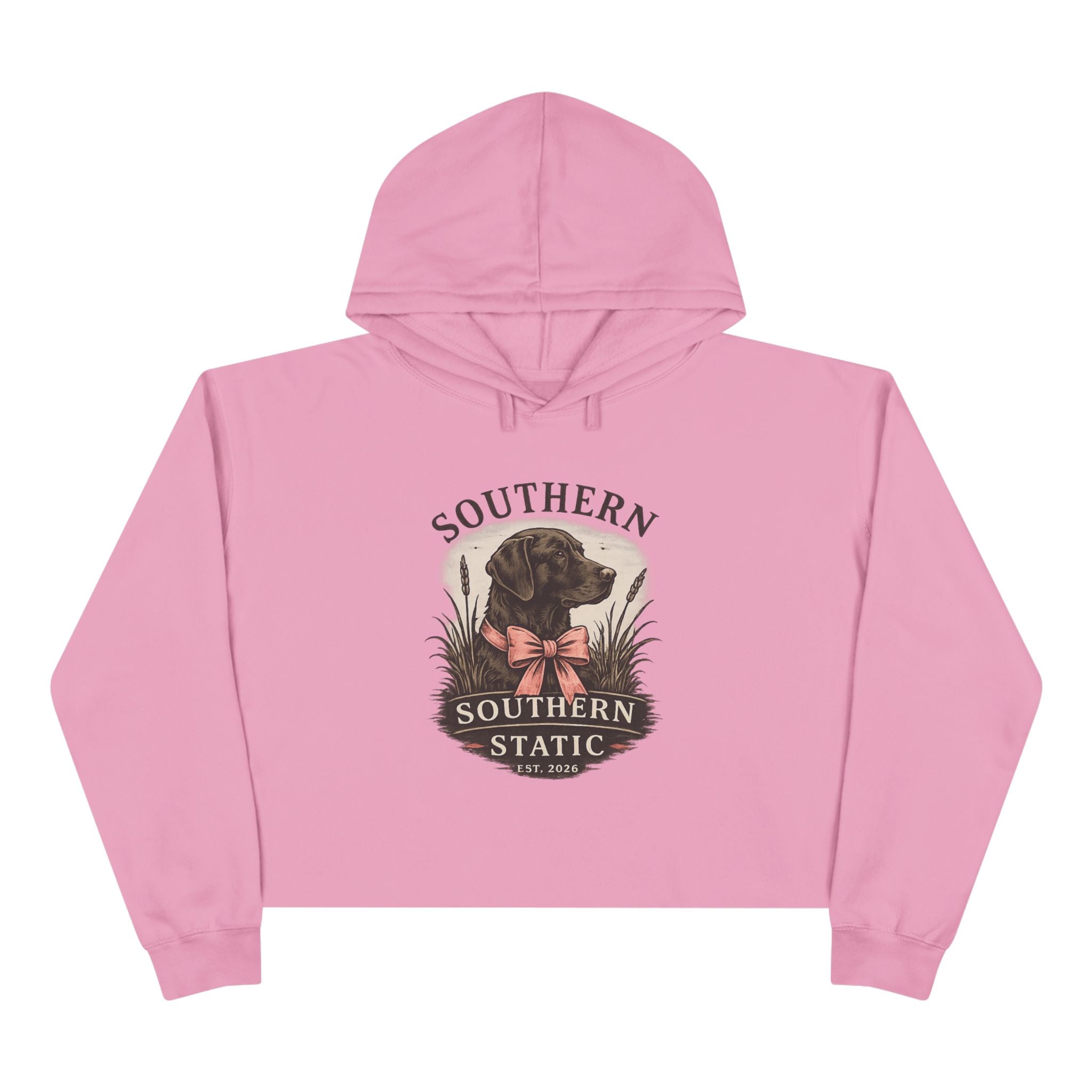 Southern Static Dog Crop Hoodie — Vintage Black Lab Graphic Cropped Hoodie