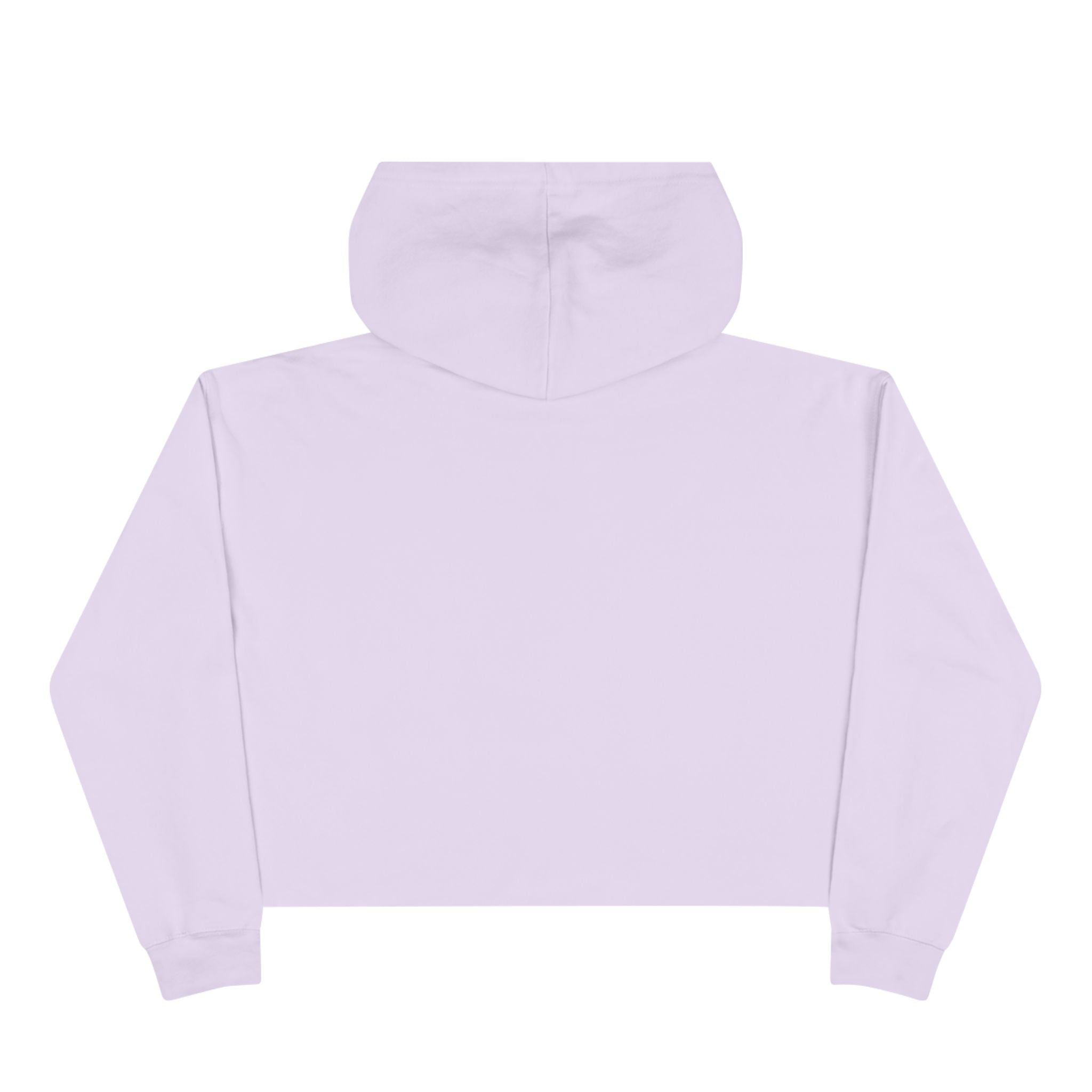 Southern Static Crop Hoodie — Vintage Boat Graphic
