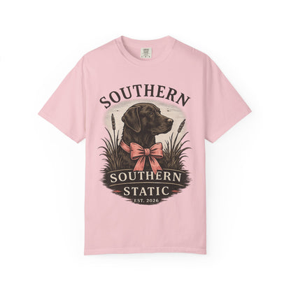 Southern Static Labrador Graphic T-Shirt — Vintage Dog Tee
