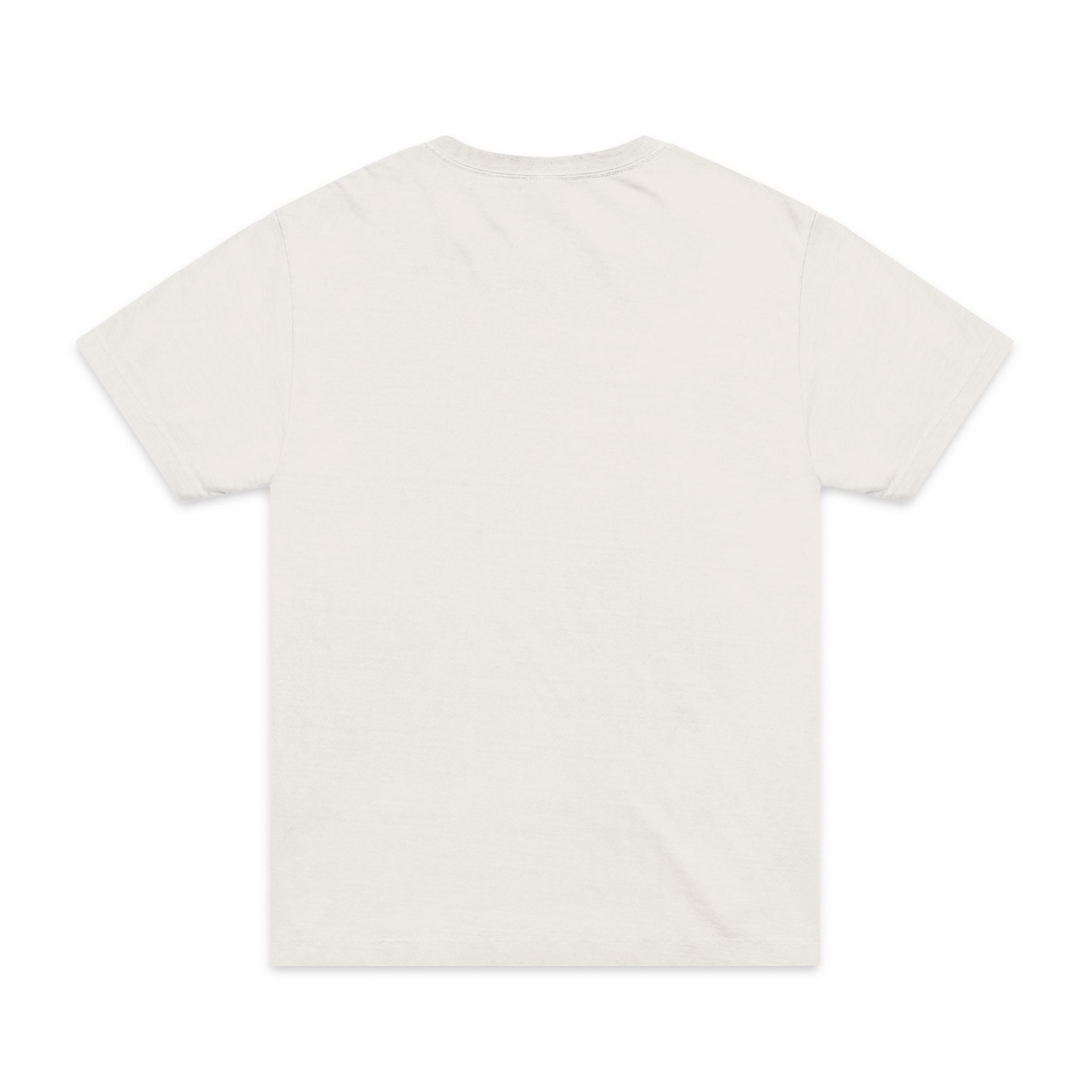 Duck Hunting Badge T-Shirt — "Southern Static" Vintage Mallard Tee